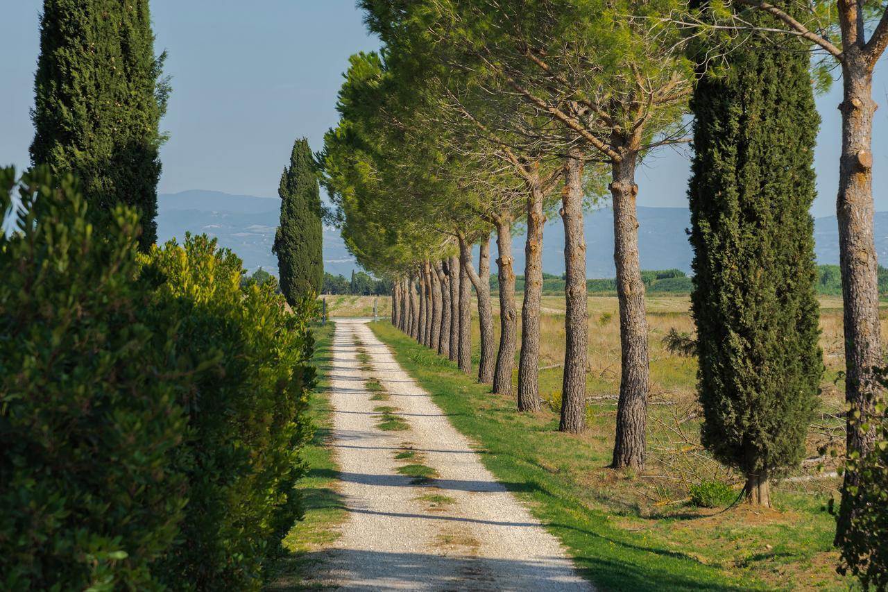 Agriturismo Bandinelli Braccagni Extérieur photo