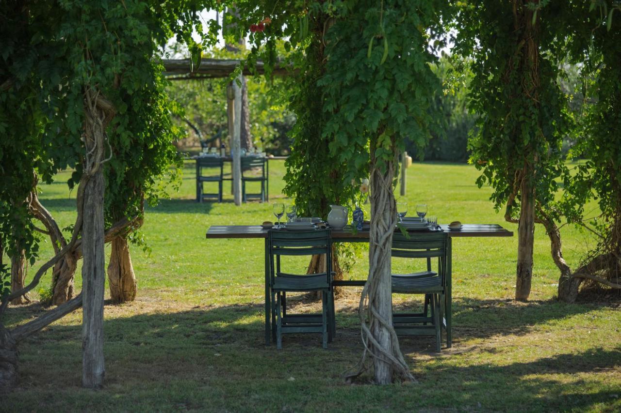 Agriturismo Bandinelli Braccagni Extérieur photo