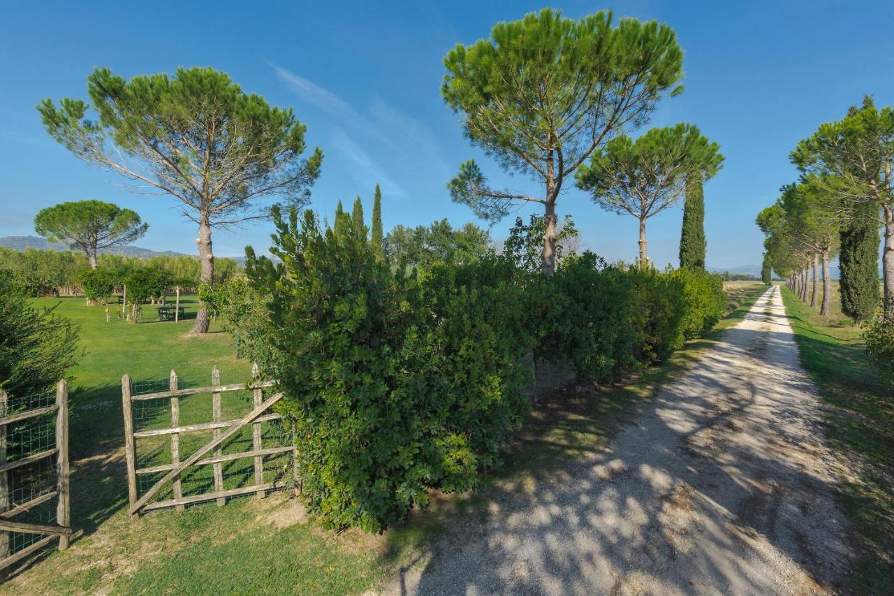 Agriturismo Bandinelli Braccagni Extérieur photo